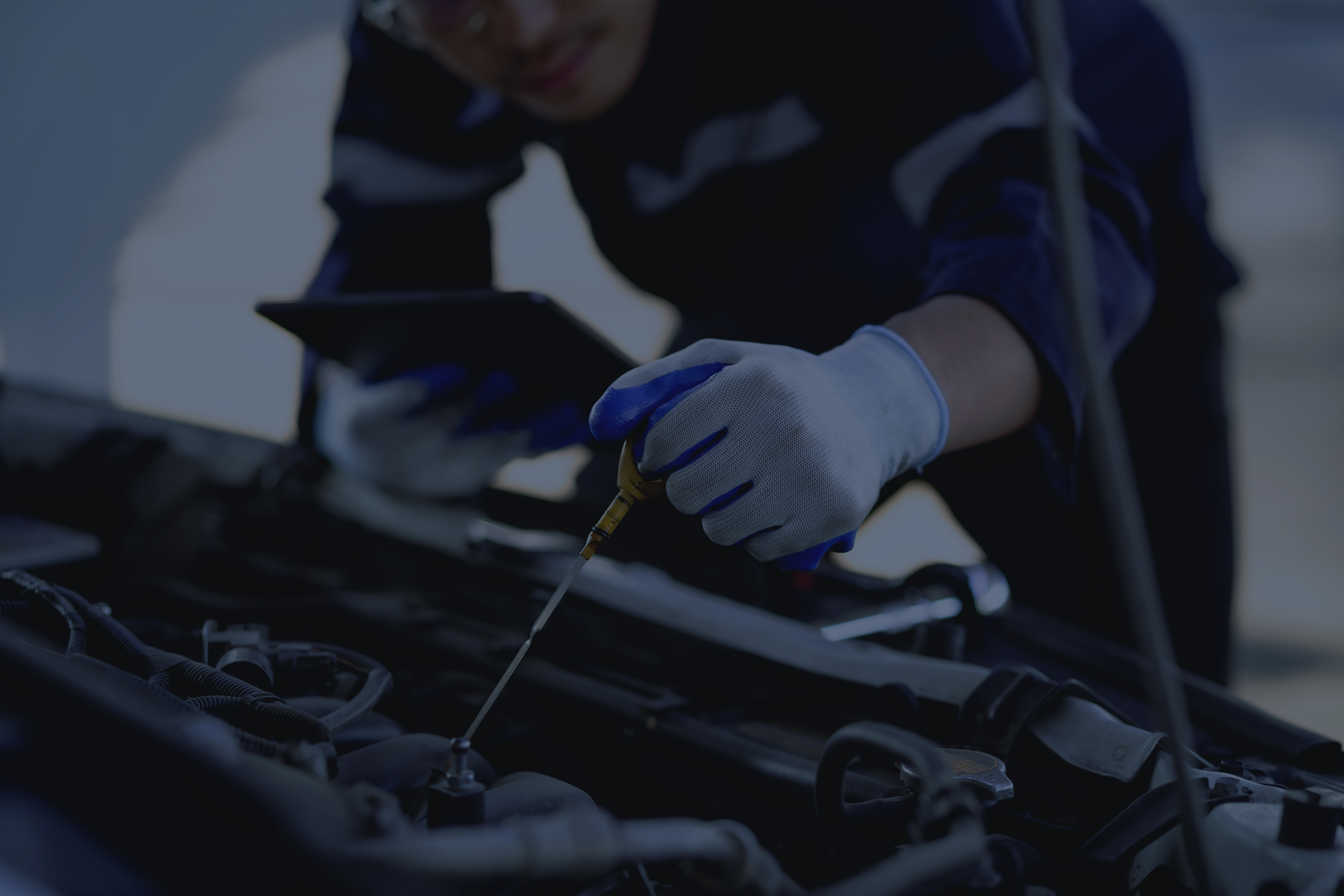 Our services